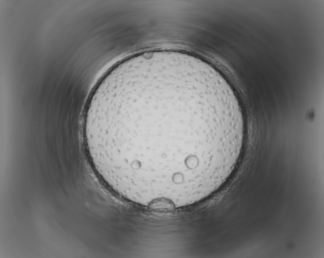 X0000115251182200912111110