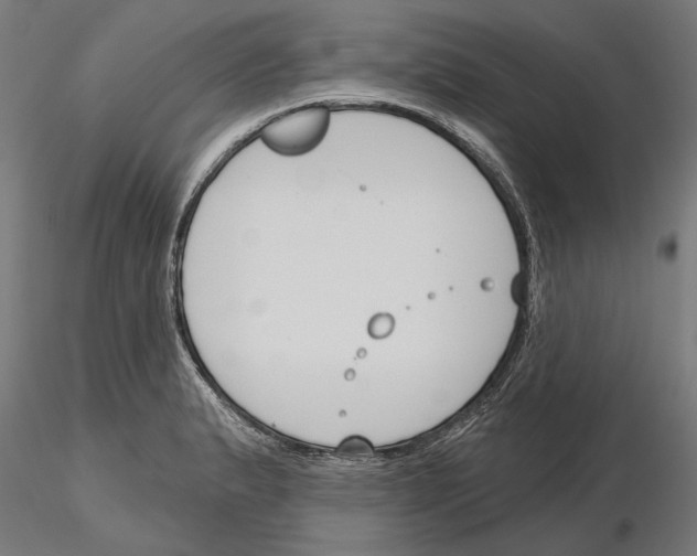 X0000115251183200912111110