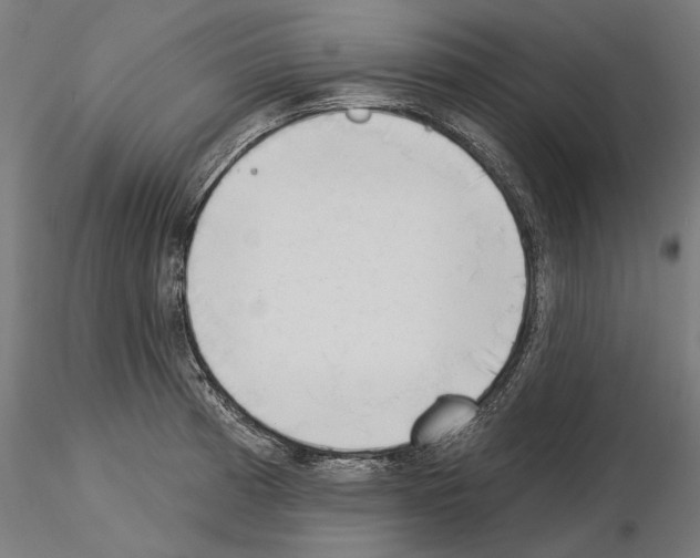 X0000115251185200912111110