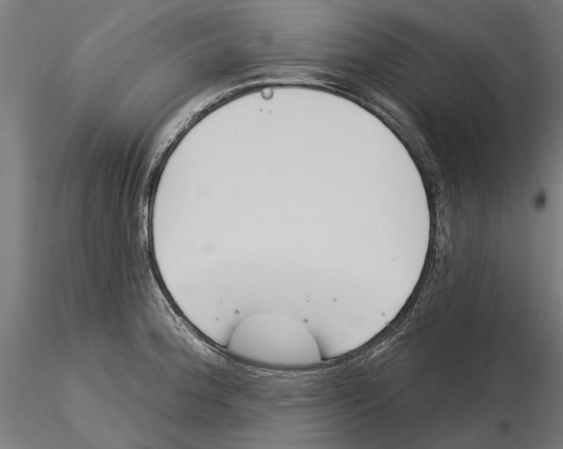 X0000115251188200912111110