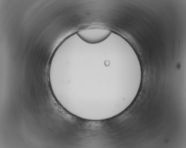 X0000115251190200912111110