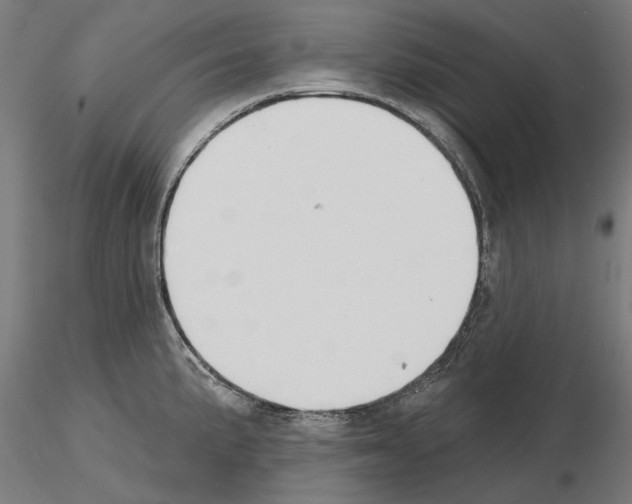 X0000115251191200912111110