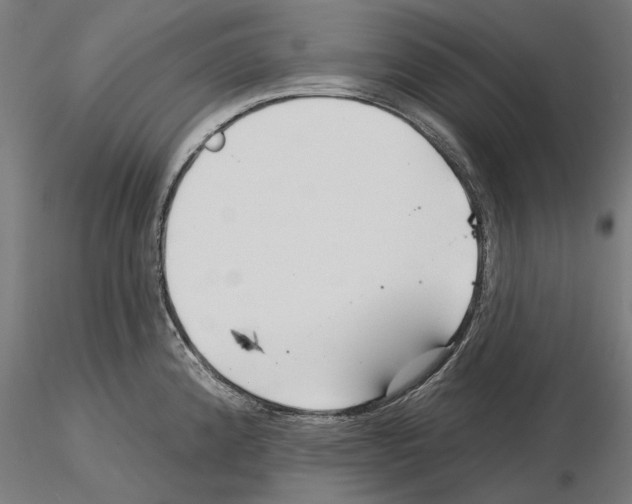 X0000115251192200912111110