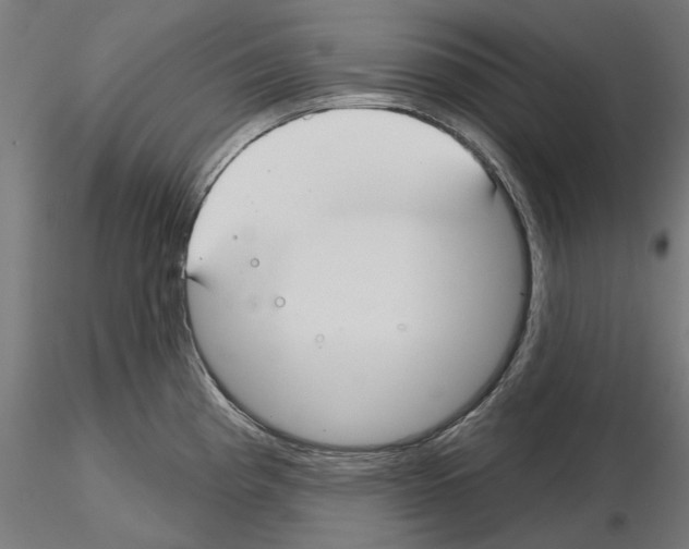 X0000115251193200912111110