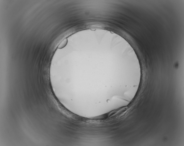 X0000115251194200912111110