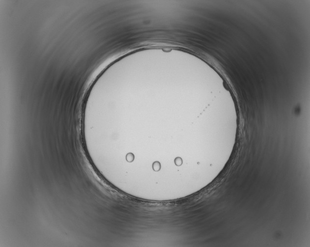 X0000115251195200912111110