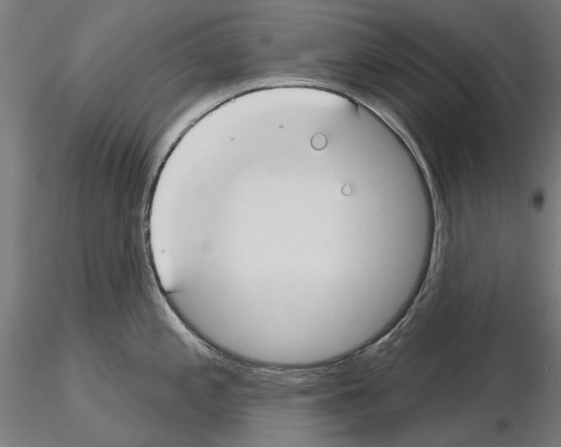 X0000115251197200912111110