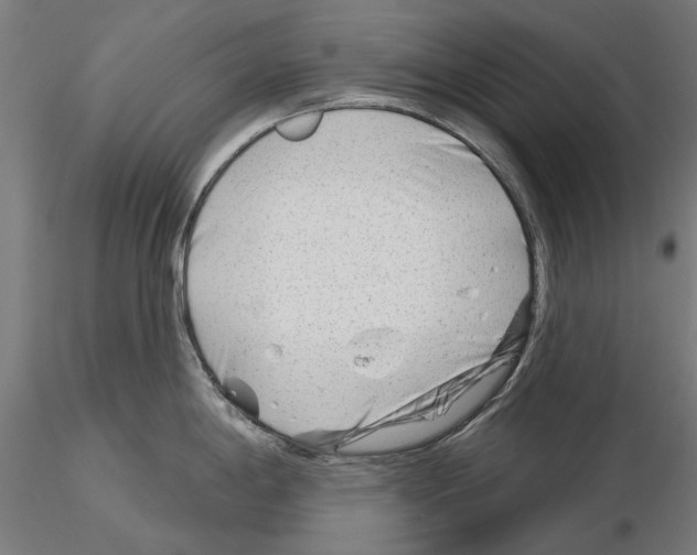 X0000115251198200912111110