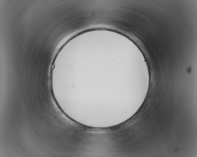 X0000115251199200912111110