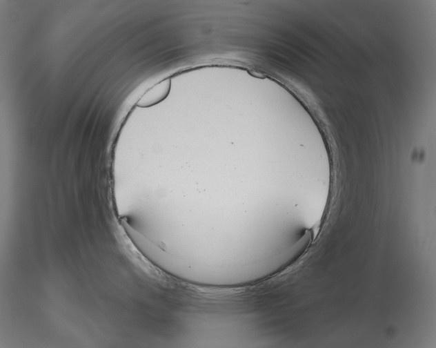 X0000115251200200912111110