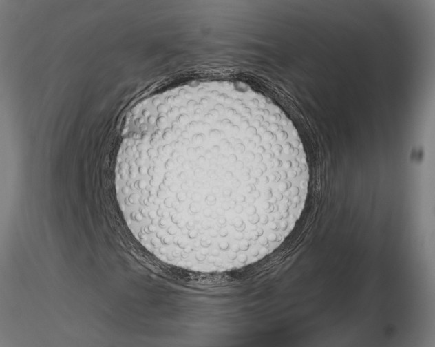 X0000115251201200912111109