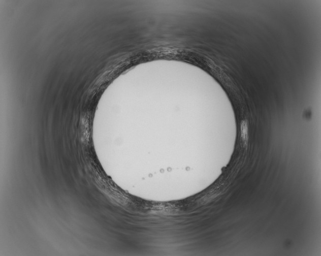 X0000115251203200912111109