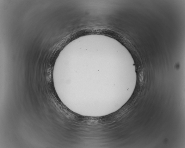 X0000115251204200912111109