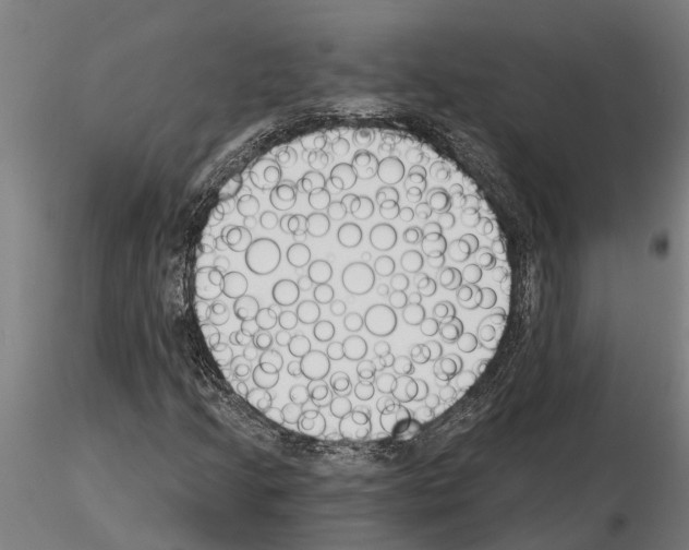 X0000115251205200912111109