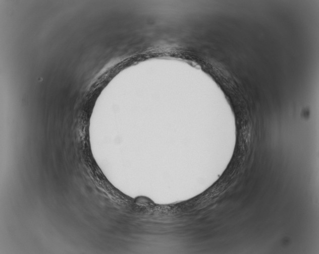 X0000115251206200912111109