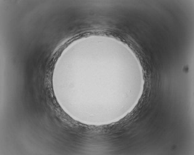 X0000115251208200912111109