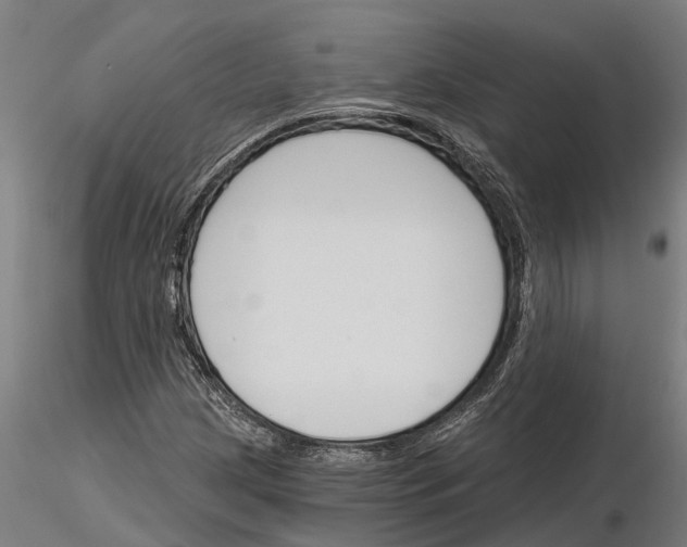 X0000115251209200912111109