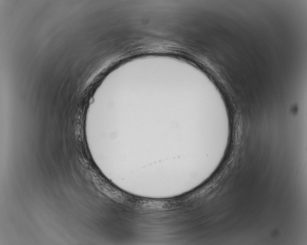 X0000115251211200912111109