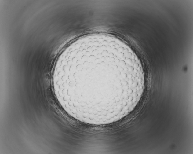 X0000115251212200912111109