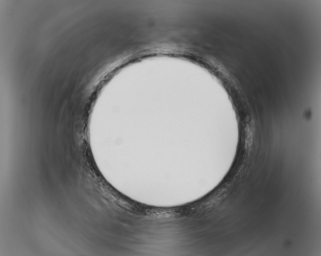 X0000115251213200912111109