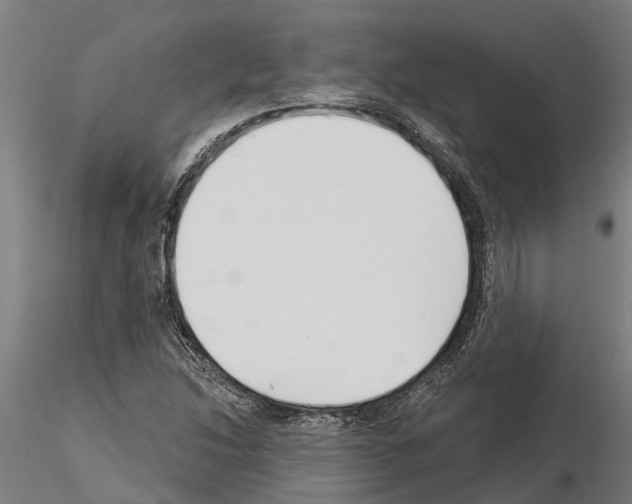 X0000115251214200912111109