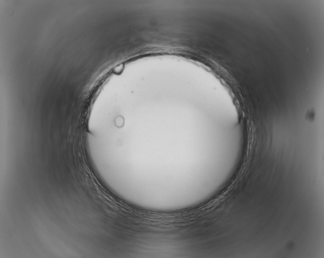 X0000115251215200912111109