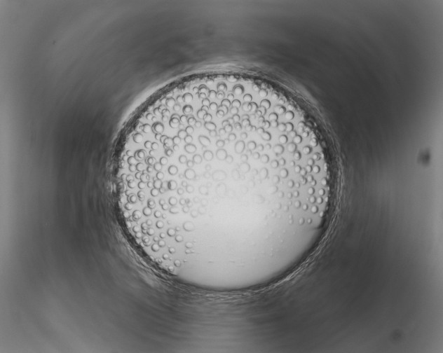 X0000115251216200912111109