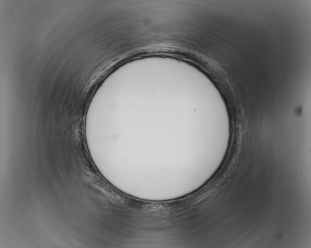 X0000115251217200912111109