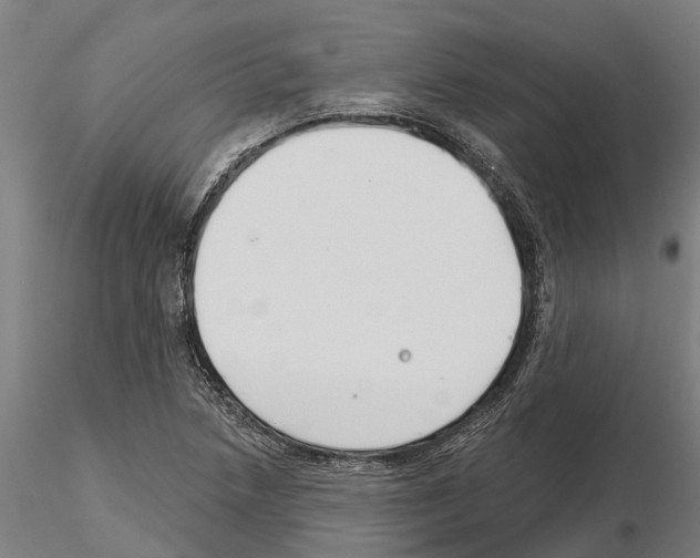 X0000115251218200912111109