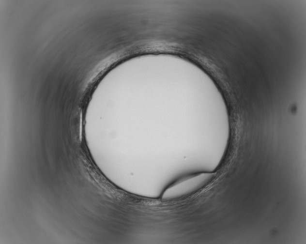 X0000115251219200912111109