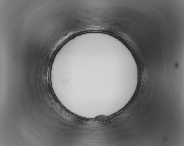 X0000115251220200912111109