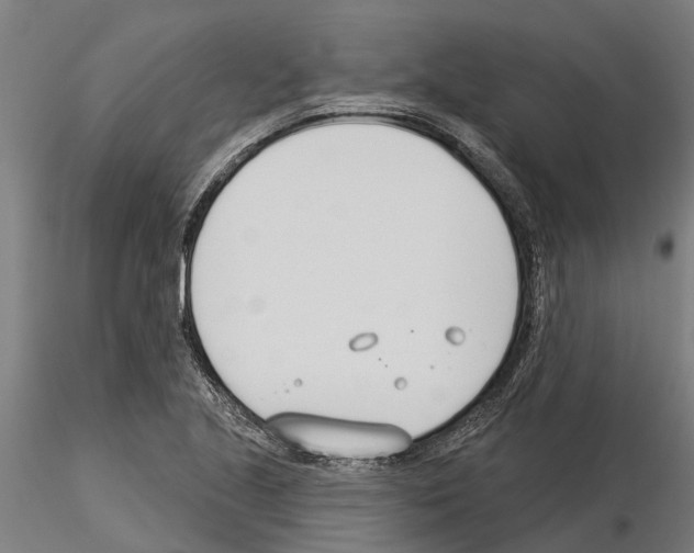 X0000115251221200912111109