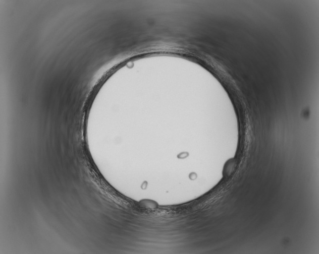 X0000115251222200912111109