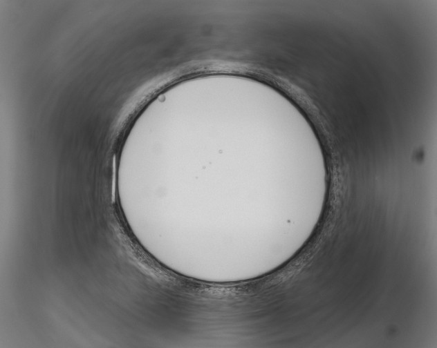 X0000115251223200912111109