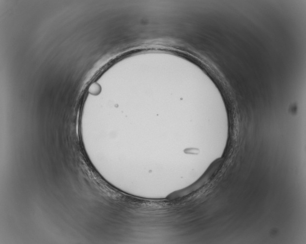 X0000115251224200912111109