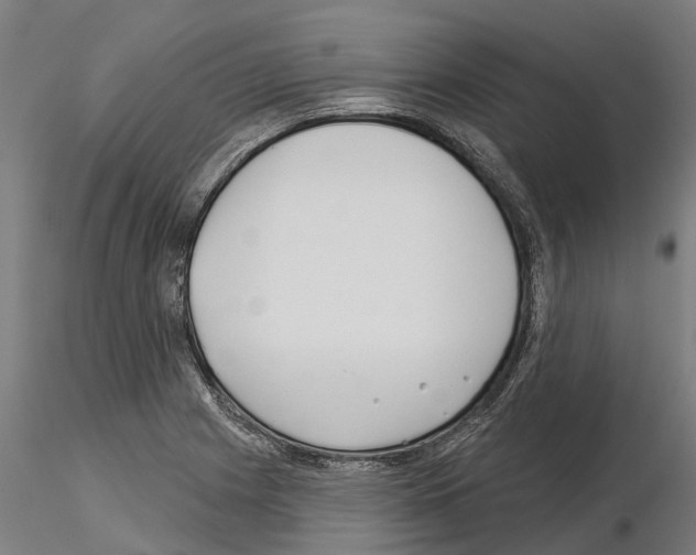 X0000115251225200912111109