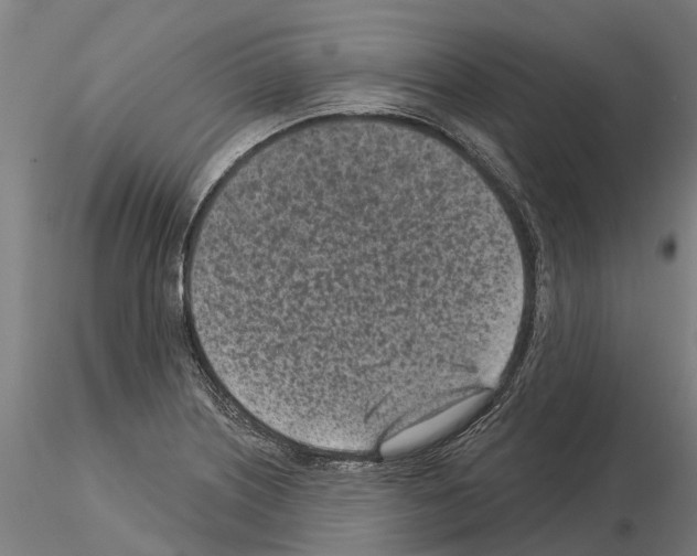 X0000115251226200912111109