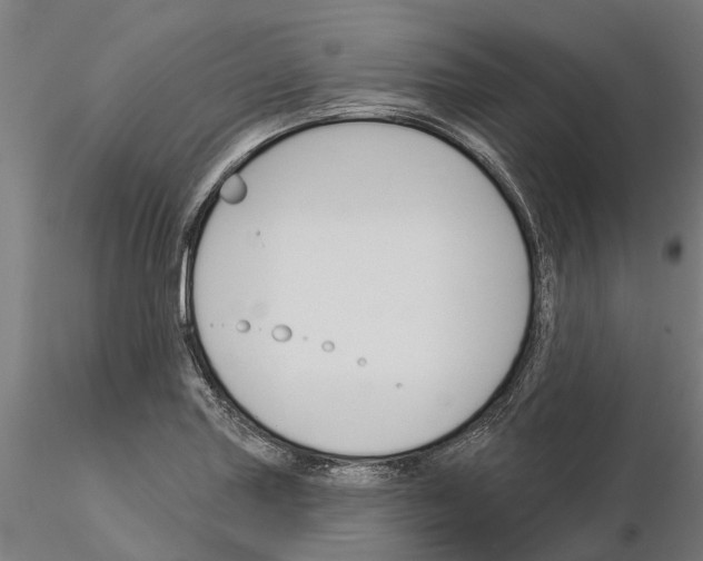 X0000115251227200912111109