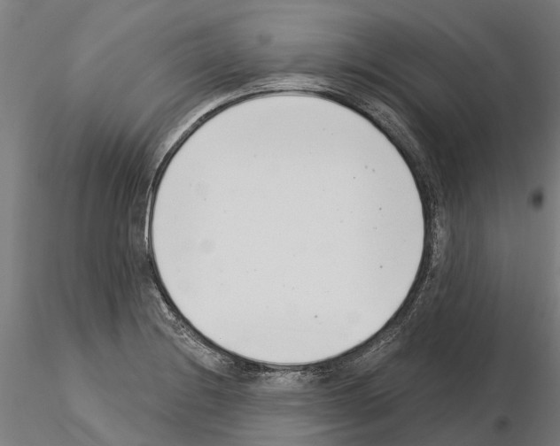 X0000115251228200912111109