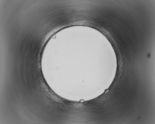 X0000115251230200912111109