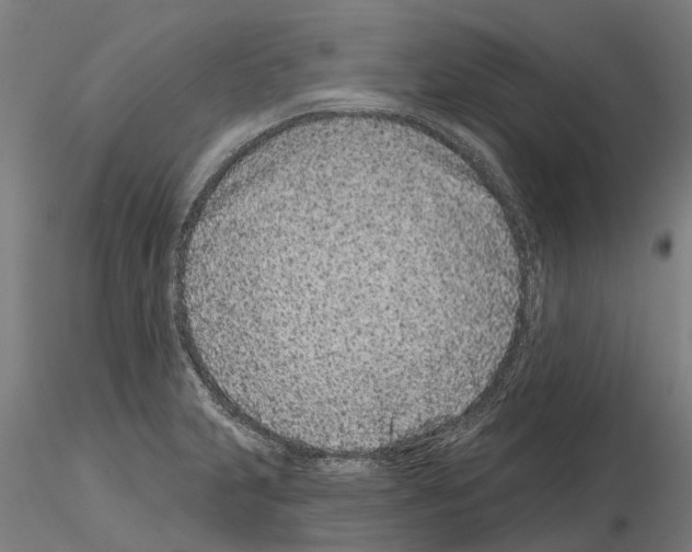 X0000115251231200912111109