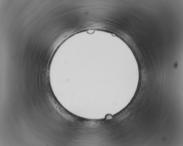 X0000115251234200912111109