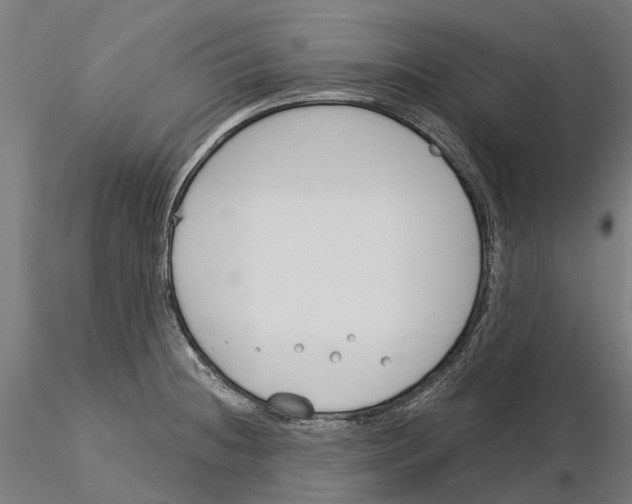 X0000115251236200912111109