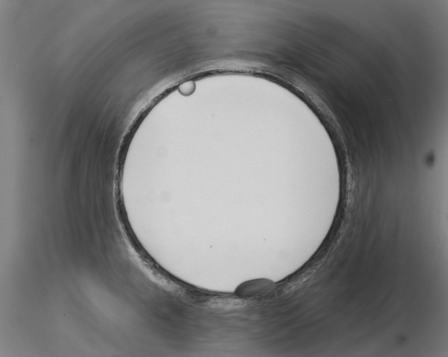 X0000115251237200912111109