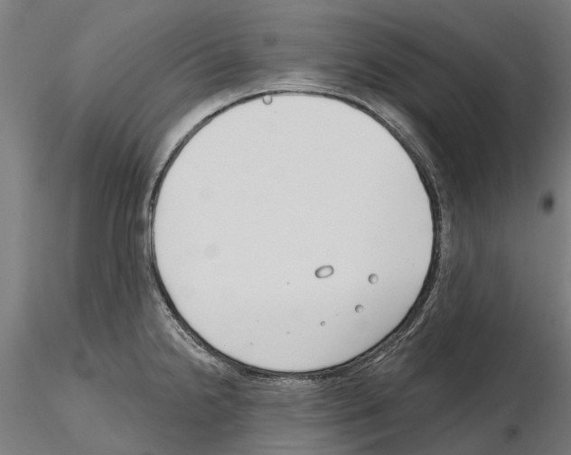 X0000115251238200912111109