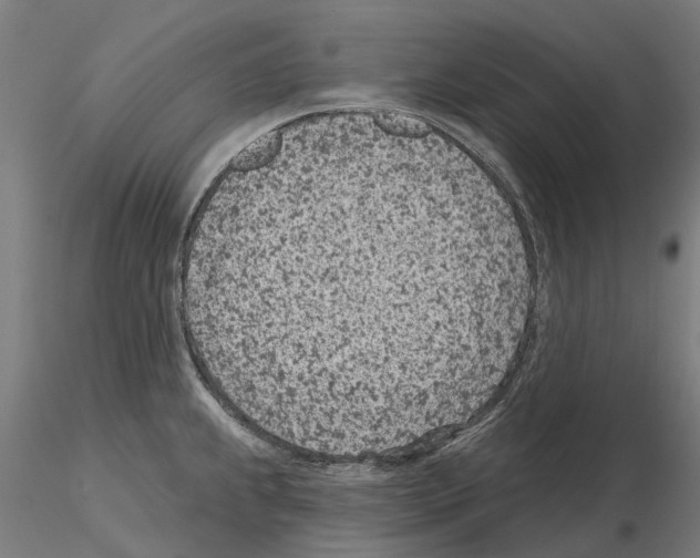 X0000115251239200912111109