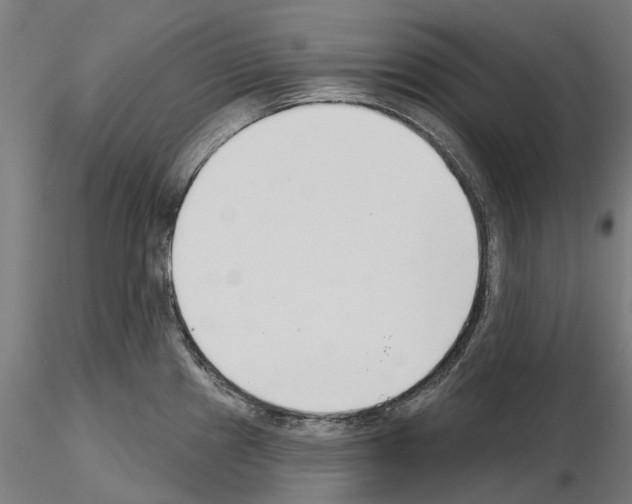 X0000115251241200912111109