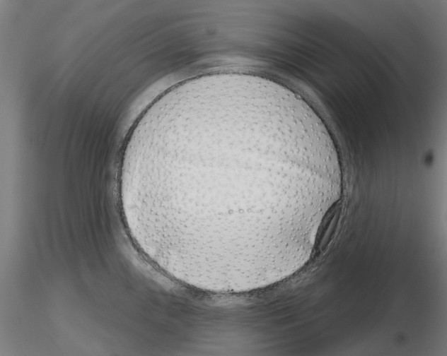 X0000115251243200912111109