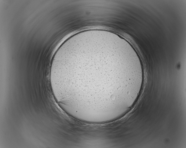 X0000115251244200912111109