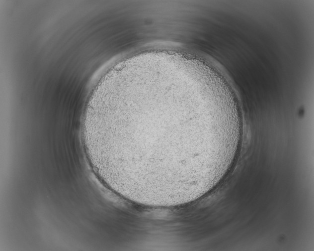 X0000115251245200912111110